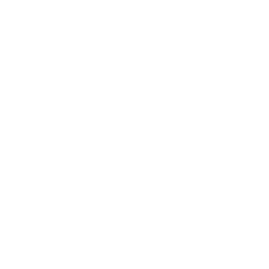 Bus_2