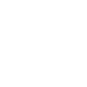 passengers